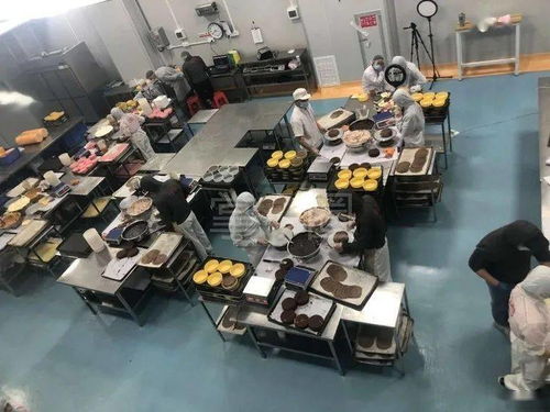 惠东蕉田食品厂 包吃住的触控产品生产新篇章
